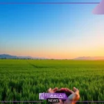 تفسير حلم شراء الارض في المنام للرجل والمرأة المتزوجة لابن سيرين