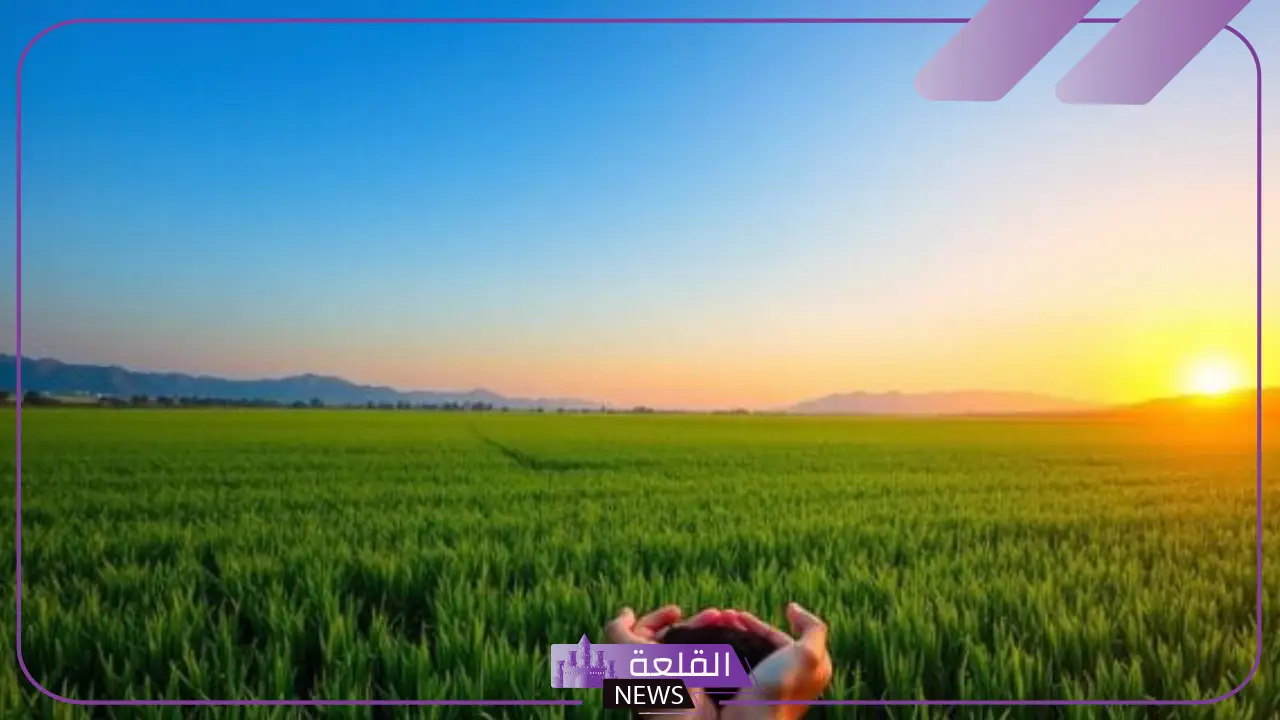 تفسير حلم شراء الارض في المنام للرجل والمرأة المتزوجة لابن سيرين