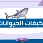 تكيف الحيوانات مع بيئتها.. ماهو التكيف السلوكي عند الحيوانات؟