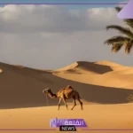 تكيفات الحيوانات الصحراوية.. حيوانات تعيش في الصحراء الحارة
