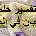 تفسير حلم ثعبان يهاجمني في المنام لابن سيرين وقتلته للرجل والمرأة
