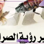 رؤية الصراصير في المنام للمتزوجة والعزباء لابن سيرين
