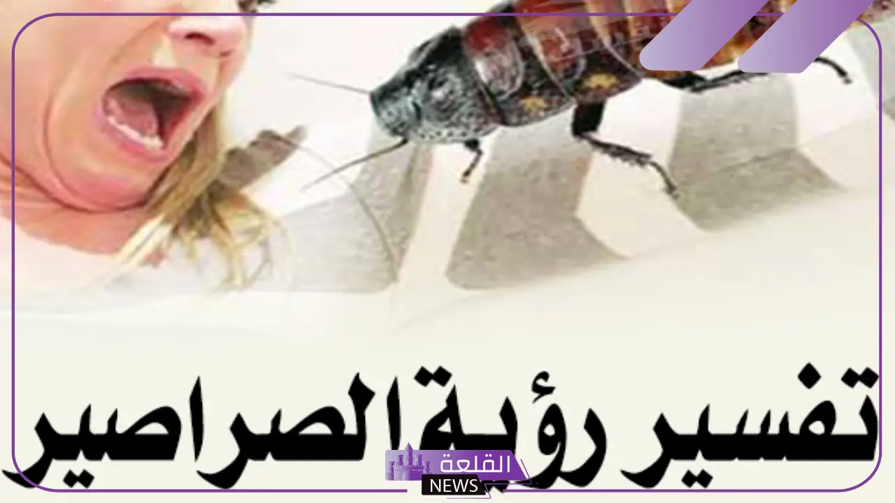 رؤية الصراصير في المنام للمتزوجة والعزباء لابن سيرين