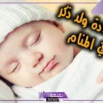 تفسير حلم انجاب ولد في المنام للمرأة الحامل لابن سيرين