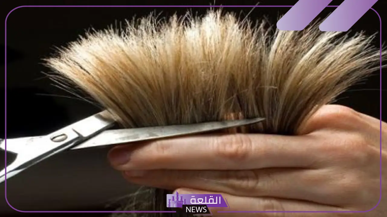 تفسير الحلم بقص الشعر للبنت في المنام لابن سيرين والنابلسي 5 تفسير حلم قص الشعر للرقبه للعزباء