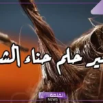 تفسير حلم رؤية حناء الشعر في المنام للمرأة العزباء والمتزوجة