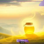 تفسير حلم أكل السمن في المنام للعزباء ورمز السمن البلدي لكبار المفسرين