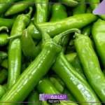 تفسير حلم الفلفل الاخضر في المنام للرجل والمراة المتزوجة والعزباء