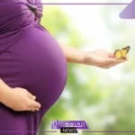 تفسير حلم رؤية امرأة حامل في المنام للعزباء والمتزوجة عند ابن سيرين