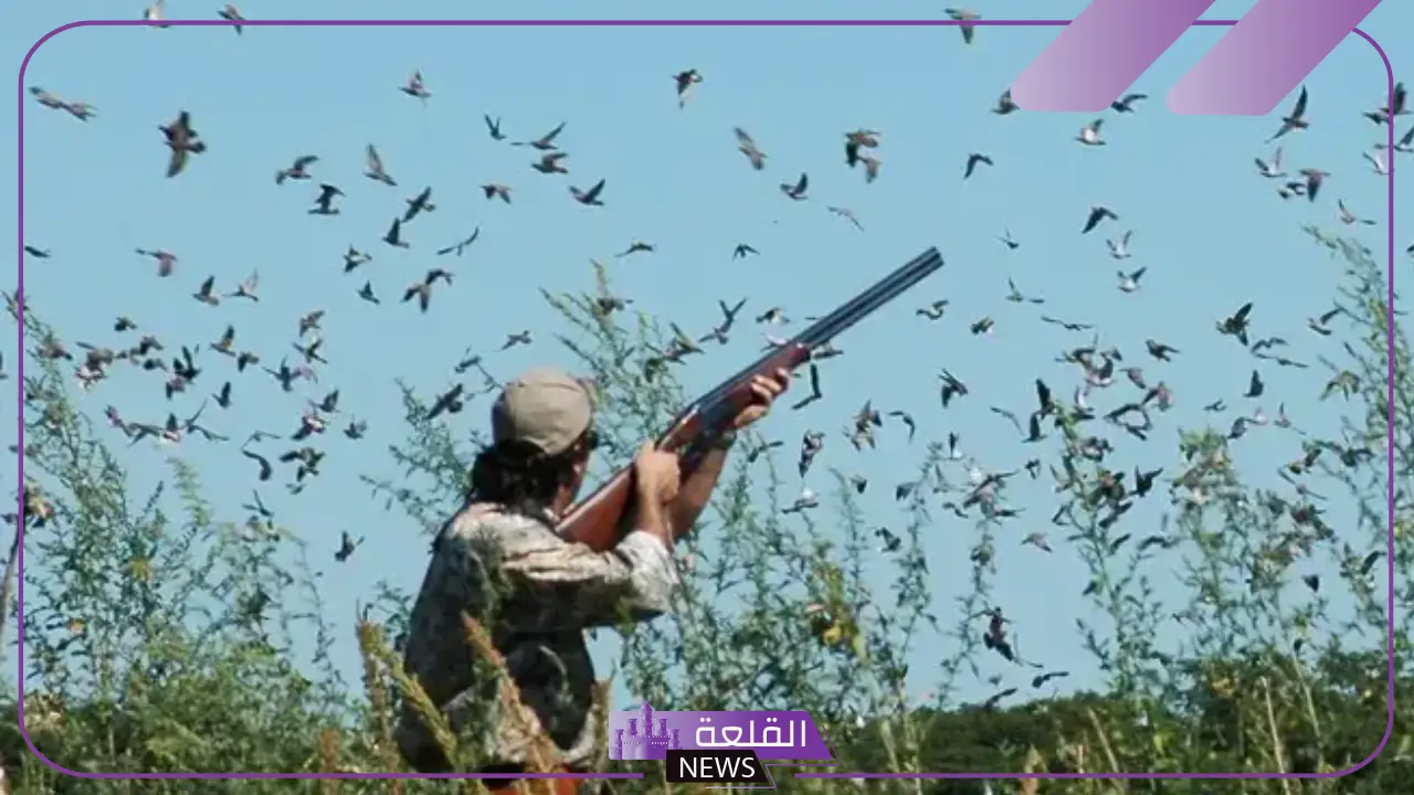 تفسير حلم صيد الطيور بالبندقية في المنام للمتزوجة لابن سيرين