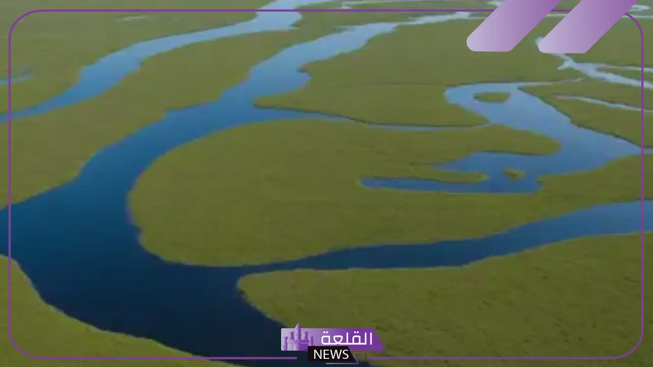 ما هي السهول الساحلية بالتعريف والأنواع؟