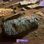 ما هي الصخور العضوية؟ كيفية تكوين الصخور العضوية