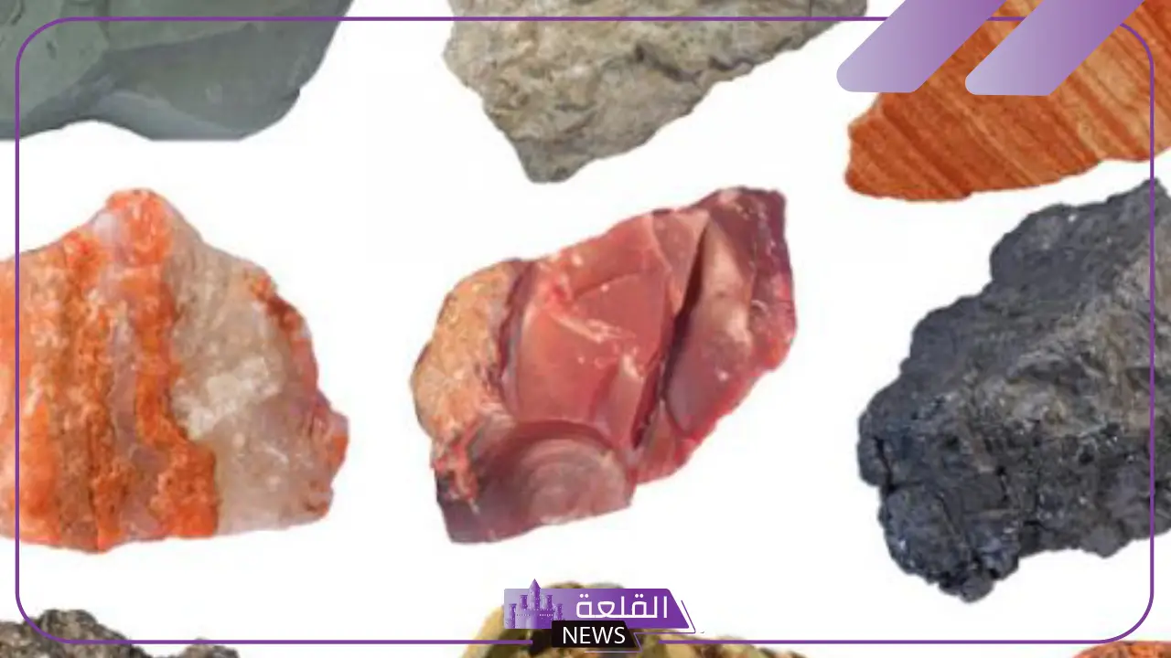 ما هي الصخور العضوية؟ كيفية تكوين الصخور العضوية 5 كيفية تكوين الصخور العضوية