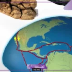صفائح الأرض المتحركة؟ أنواع الصفائح الأرضية