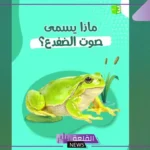 صوت الضفدع يسمى: اسم صوت الضفدع من 4 حروف