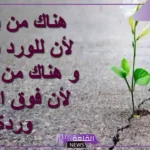 حكم عن الامل والتفاؤل قصيرة فيس بوك.. اجمل عبارات عن التفاؤل في الحياة 
