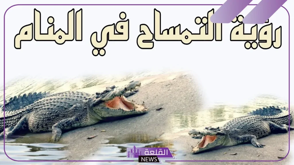رؤية التماسيح في المنام للعزباء والمتزوجة لابن سيرين 5 رؤية التمساح الأخضر في المنام للمتزوجة