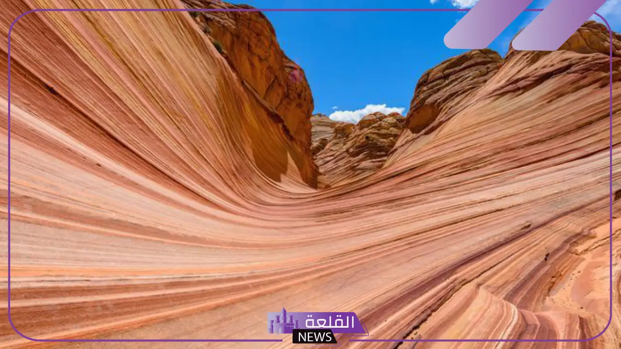ما هي الصخور العضوية؟ كيفية تكوين الصخور العضوية 6 كيف تتكون الصخور الكيميائية؟