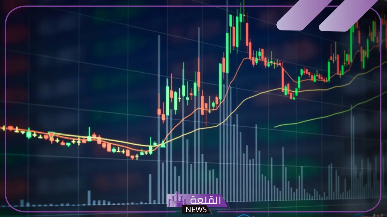 كيفية التداول خلال موسم الأرباح: استراتيجيات للأسهم والخيارات