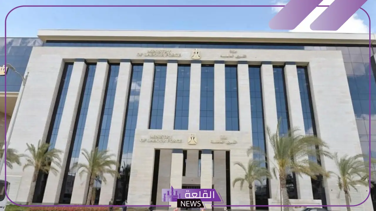 لا وجود للوسطاء.. وزارة العمل تحذر المواطنين من فخ النصب وتؤكد: كافة الخدمات مجانية