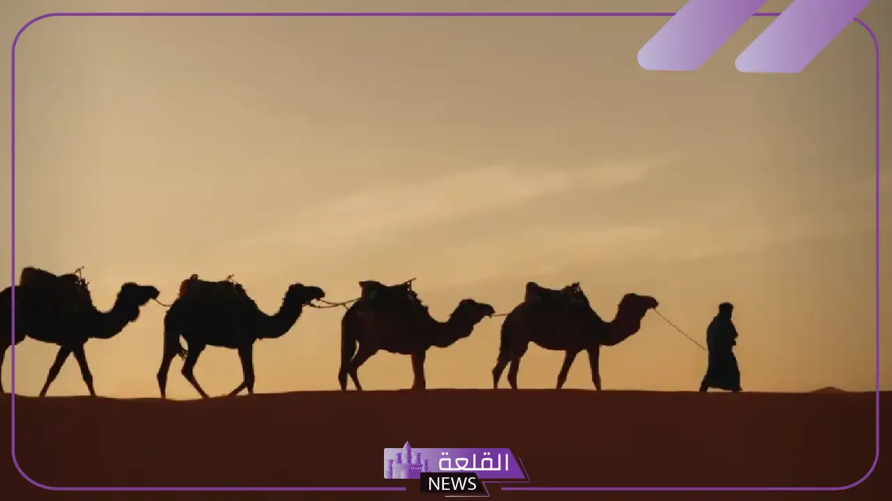 اسماء بدوية قديمة جميلة بمعانيها للأولاد والبنات 2025 اسماء بدوية قديمة جميلة بمعانيها للأولاد والبنات 2025