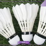 قوانين كرة الريشة.. معلومات هامة عن رياضة الريشة 