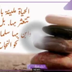 حكم عن الطموح والنجاح والتفوق في الحياة 