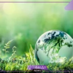 ما الأسم العلمي للأنظمة البيئية الرئيسية على الأرض؟ أمثلة على النظام البيئي