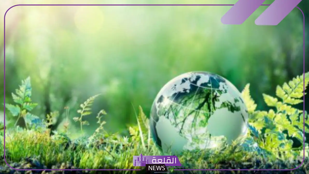 ما الأسم العلمي للأنظمة البيئية الرئيسية على الأرض؟ أمثلة على النظام البيئي