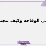 ما هي الوقاحة وكيف تتجنبها؟ كيف تعرف أن الشخص وقح؟