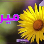 ما هو معنى اسم ميرال في القرآن الكريم والمسيحية؟