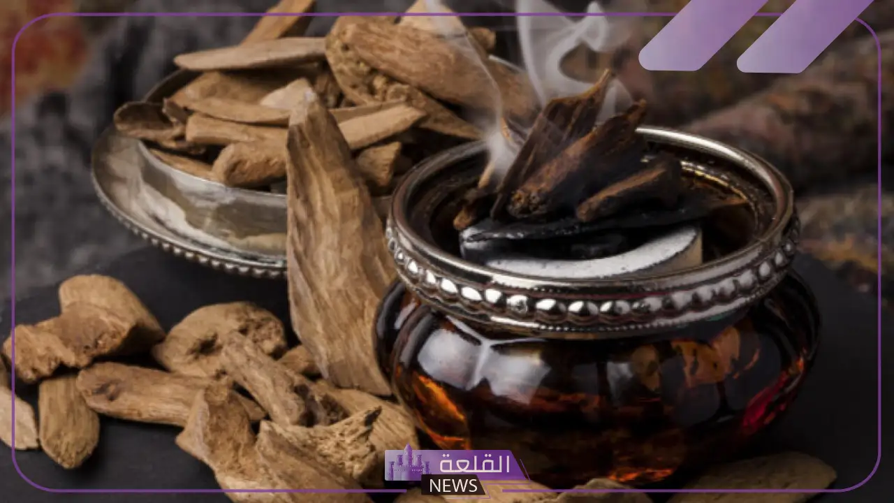 تفسير حلم بخور العود للعزباء والمتزوجة في المنام للعصيمي
