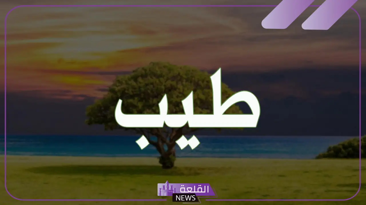 ما هو معنى طيب في المعاجم والقرآن الكريم واستخداماتها 5 استخدامات كلمة طيب