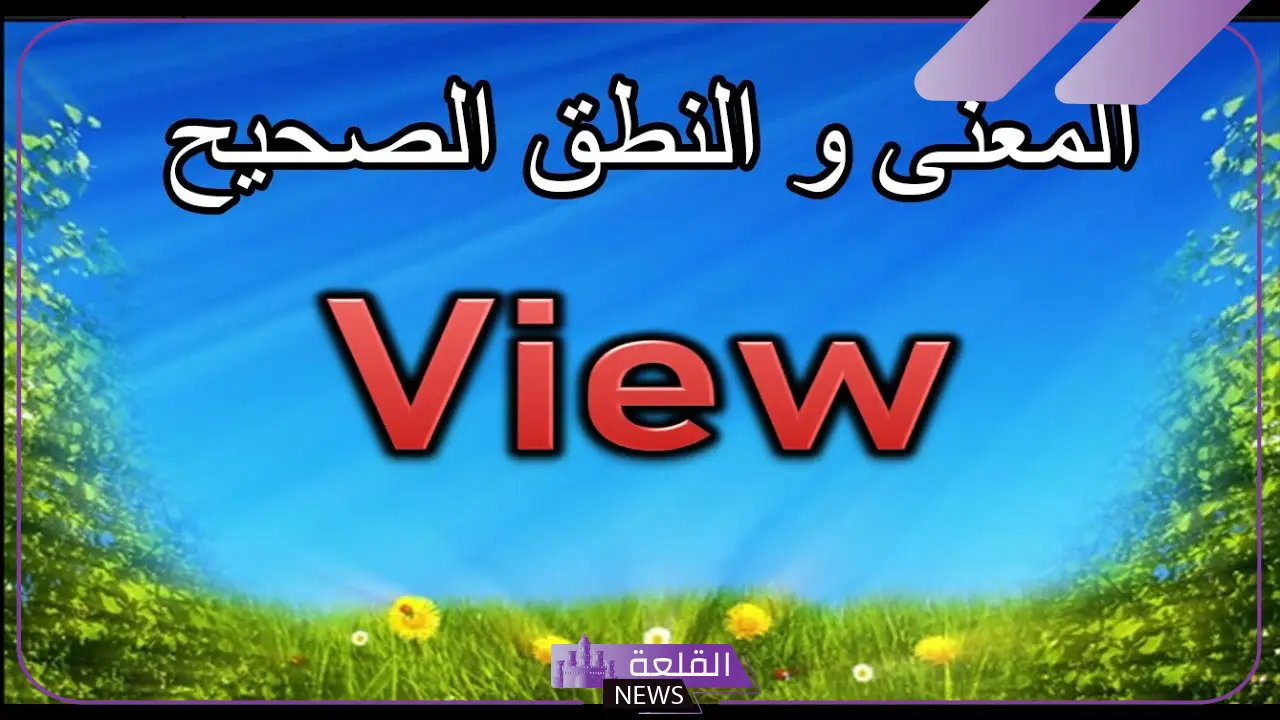 ما هو معنى فيو