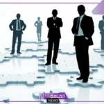 ما هو معنى سوبر فايزر؟ ما الفرق بين السوبر فايزر والتيم ليدر