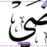 ما هو معنى ضي؟ معنى كلمة ضي في المعجم 