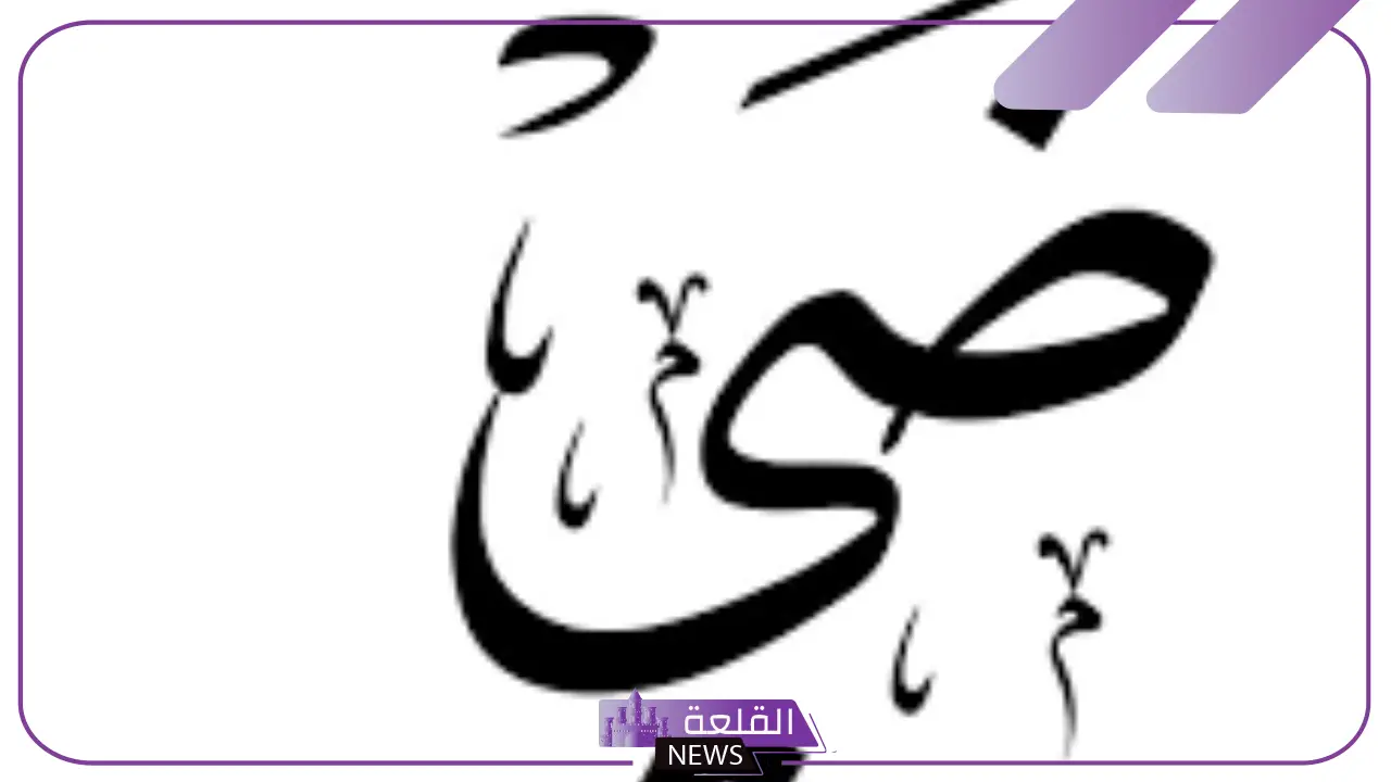 ما هو معنى ضي؟ معنى كلمة ضي في المعجم 