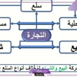 ما هي الأنواع الرئيسية لمؤسسات الدولة؟ أنواع المؤسسات
