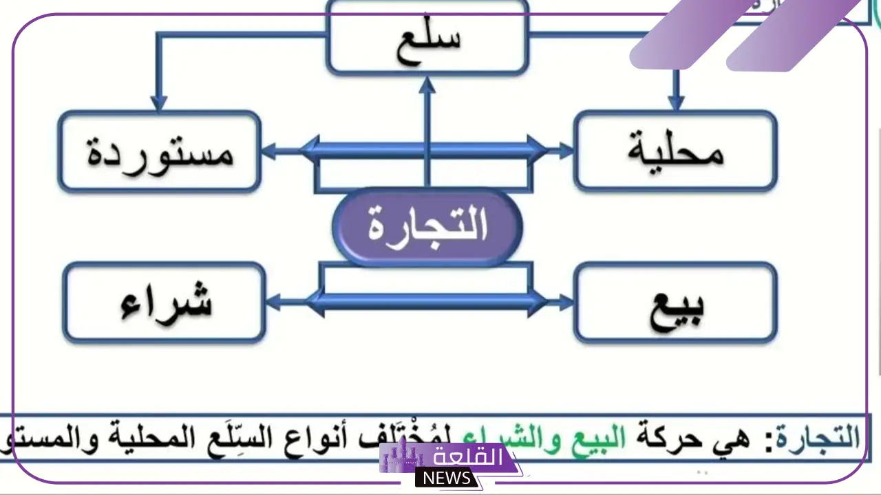 ما هي الأنواع الرئيسية لمؤسسات الدولة؟ أنواع المؤسسات
