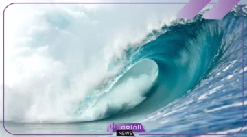 البحار