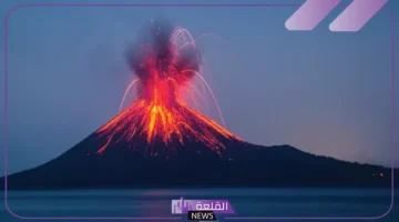 البراكين النشطة