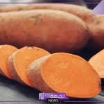 انواع البطاطا الحلوة بفوائدها.. أضرار البطاطا الحلوة