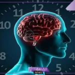تتحدى كافة التأثيرات.. دراسات تتواصل إلى ارتباط الساعة البيولوجية للإنسان بتغير الفصول
