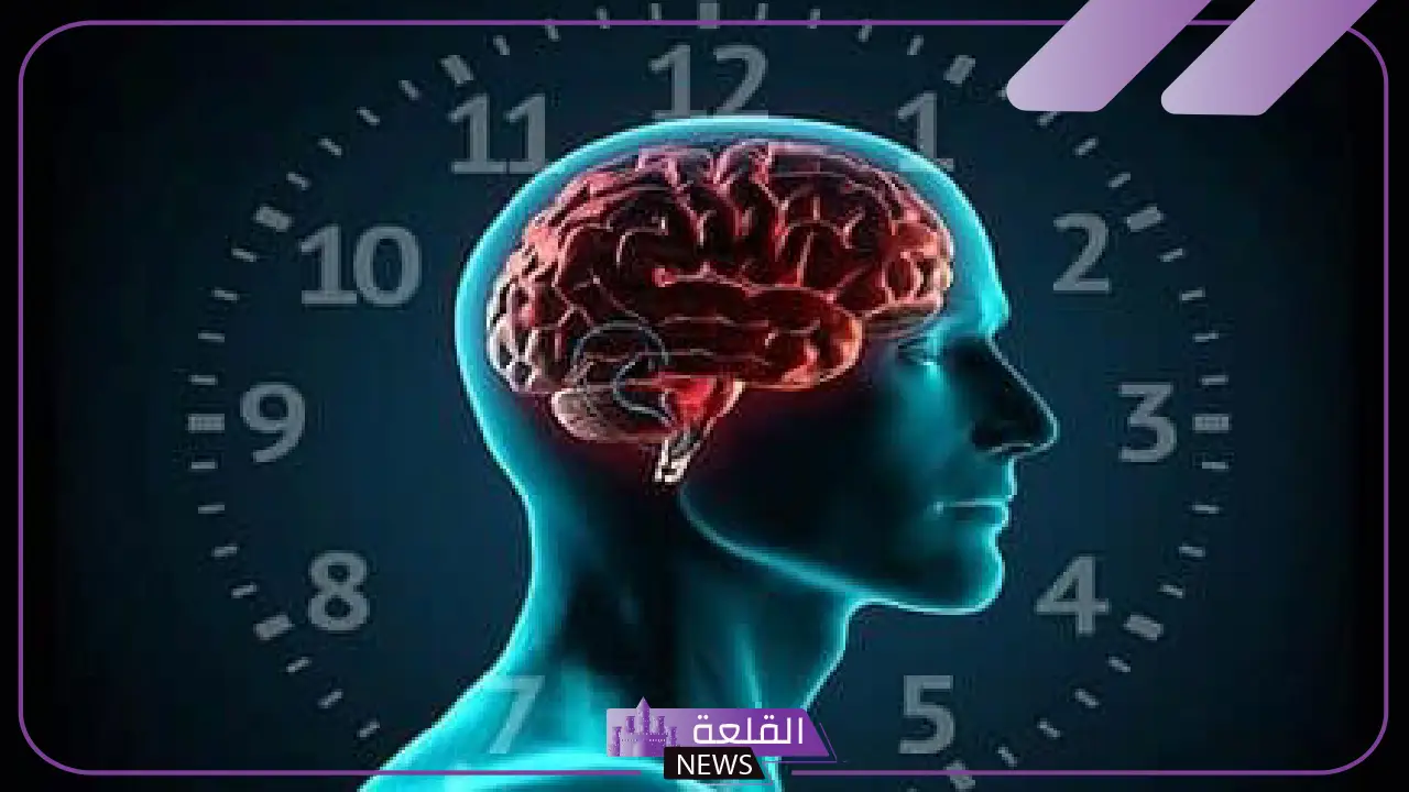 تتحدى كافة التأثيرات.. دراسات تتواصل إلى ارتباط الساعة البيولوجية للإنسان بتغير الفصول