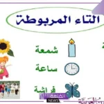 من مواضع التاء المربوطة والمفتوحة والهاء
