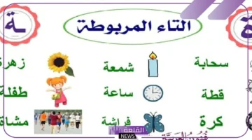 التاء المربوطة