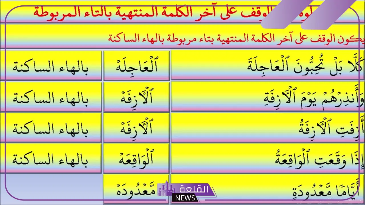 من مواضع التاء المربوطة والمفتوحة والهاء 5 أمثلة على التاء المربوظة والهاء