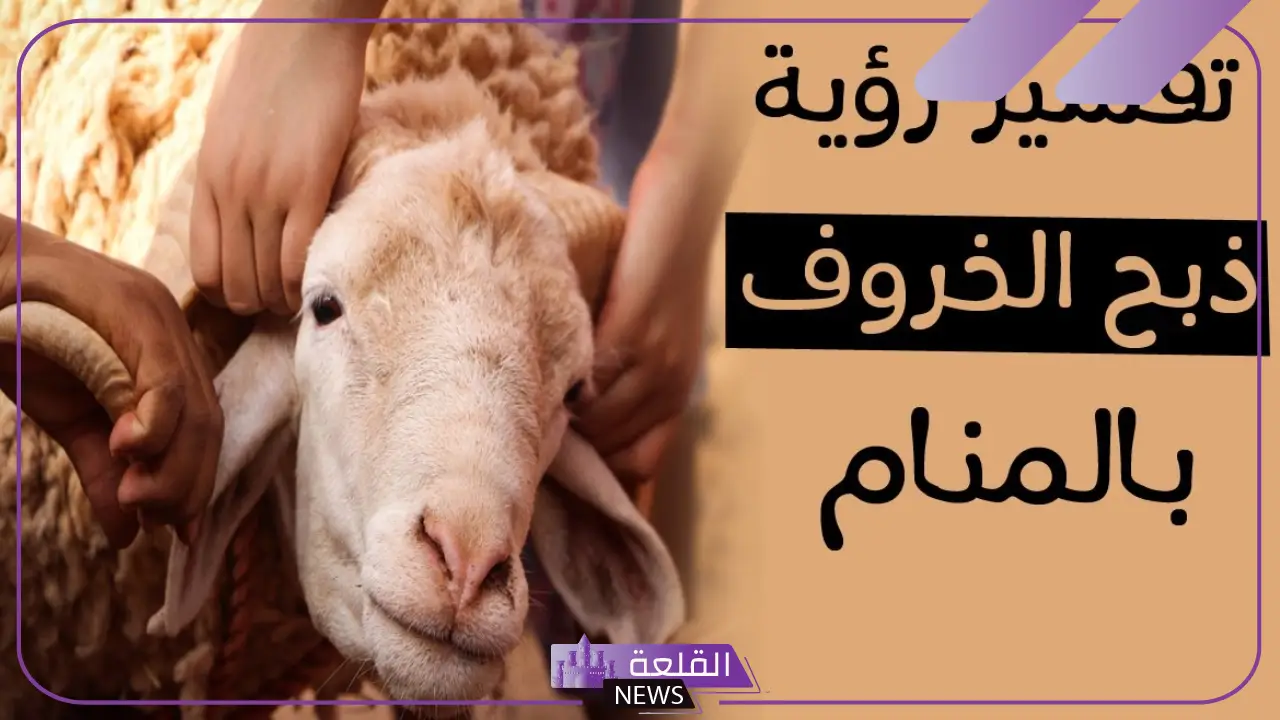 تفسير حلم ذبح الخروف في المنام للرجل والحامل والمتزوجة 5 دلالات رؤية ذبح الخروف في حلم الحامل