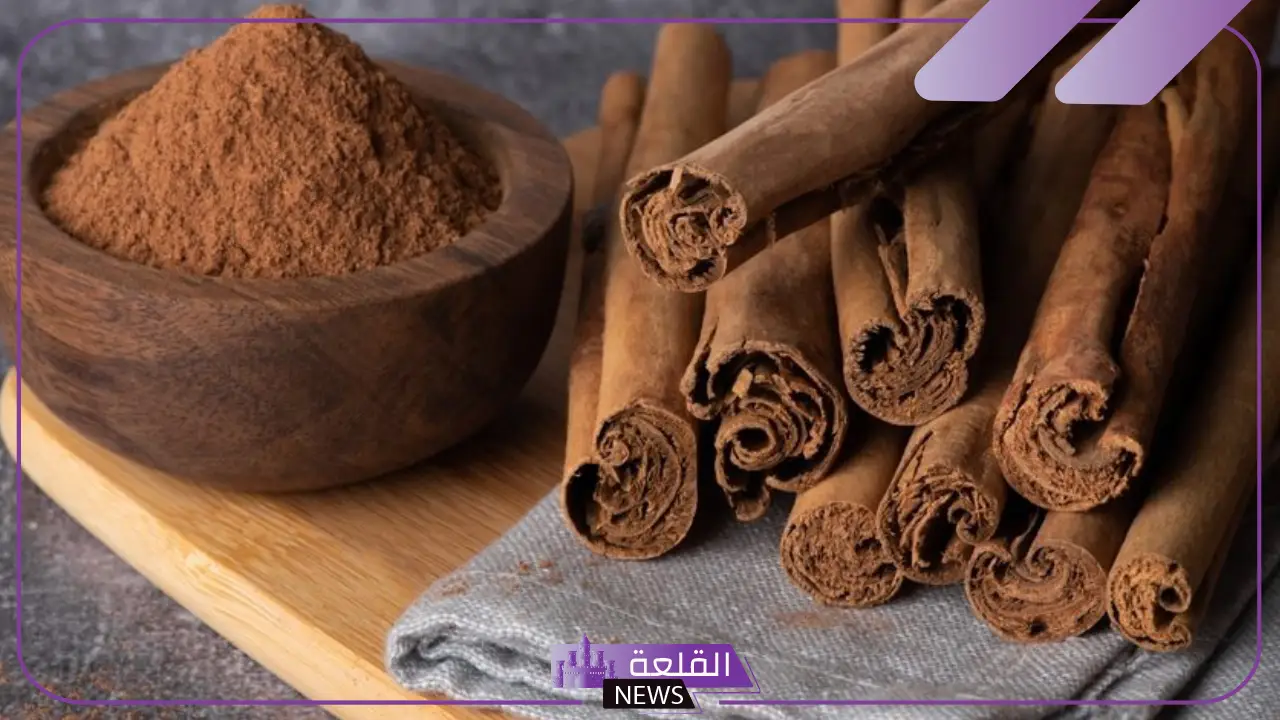 تعرف على الفرق بين القرفة والدارسين بالفوائد والأضرار 5 الفرق بين القرفة والدارسين