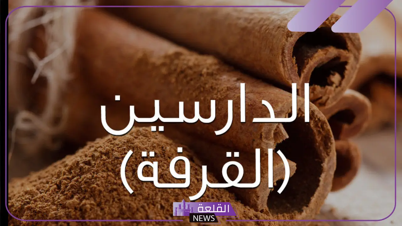 ما هو الفرق بين القرفة والدارسين؟ فوائد الدارسين للرجل 5 الفرق بين القرفة والدارسين